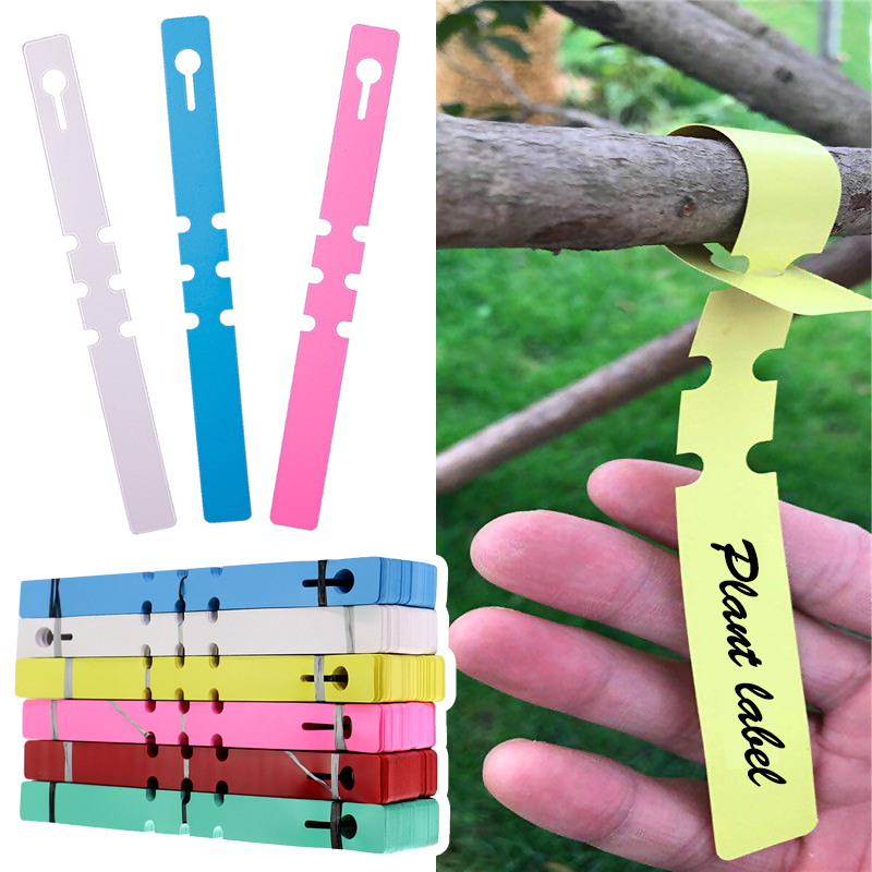 Gardening Tools Labeled - 50개 방수 식물 마커 플라스틱 식물