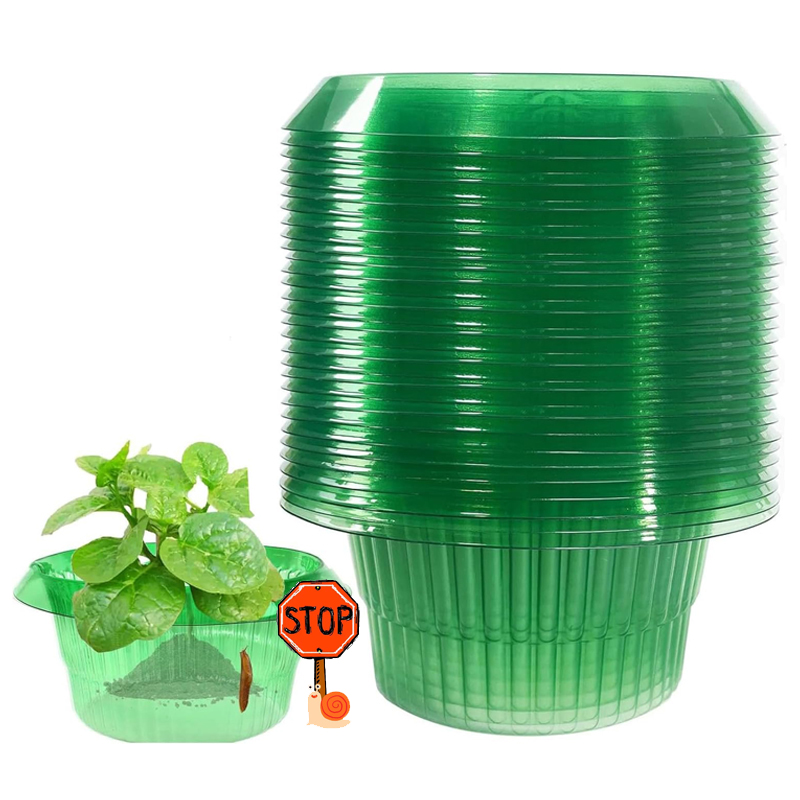 Gardening Tools Green - 5-25Pcs 식물 슬러그 보호 반지 녹색
