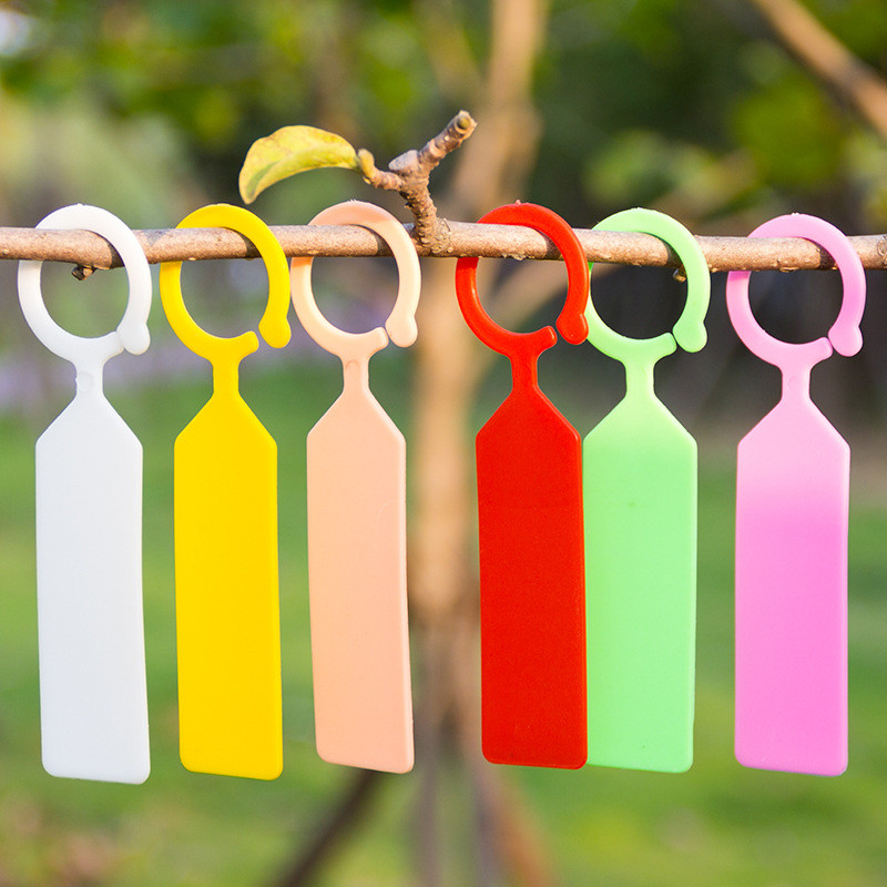 Gardening Tools Labeled - 50Pcs 방수 식물 레이블 홈 꽃