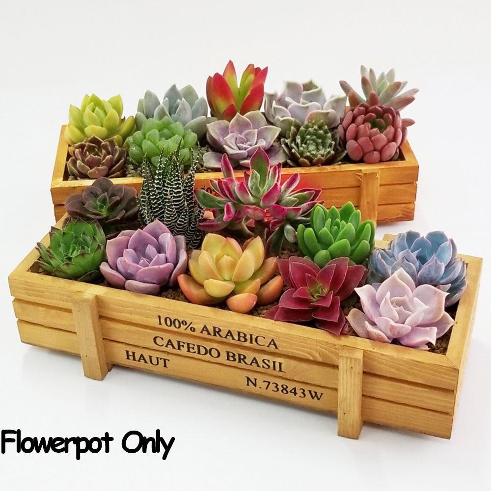 Gardening Tools Green - 1 PC 도구 정원 장식 물마루