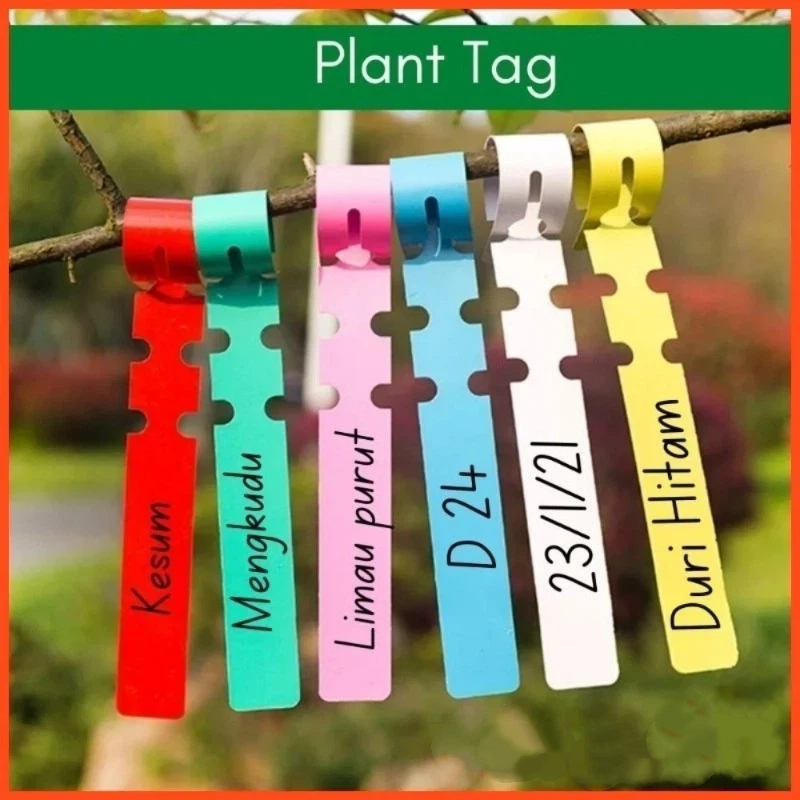 Plant Label Tags - 식물 태그 / 식물 표시표 /