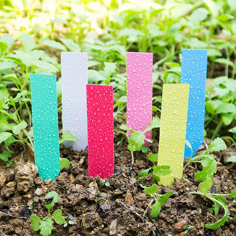 Plant Label Tags - 재사용 가능한 플라스틱 식물 라벨, 긴