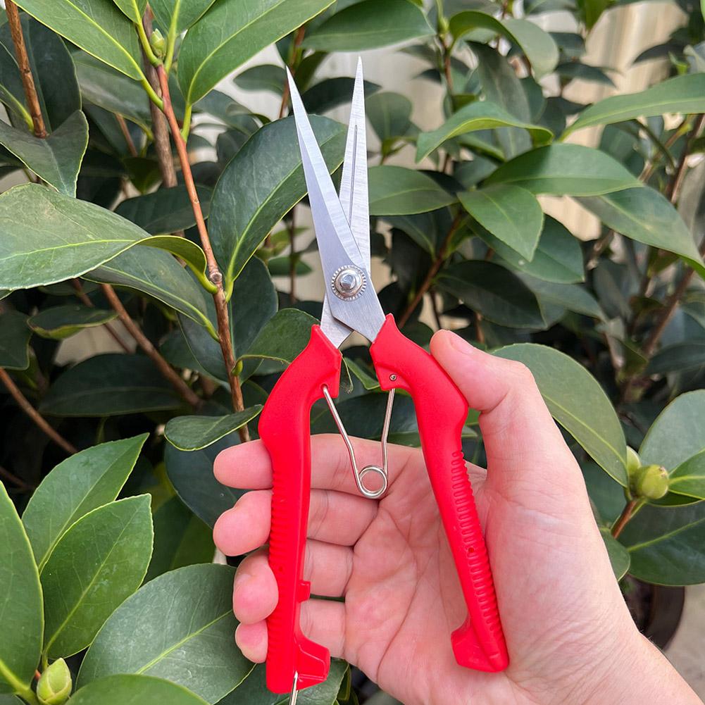 Gardening Tools Basic - 프로 가든 전정가위 연장형 나무 꽃