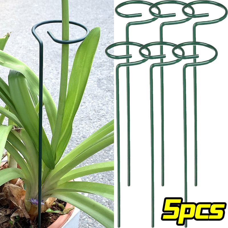 1/10pcs 정원 지원 스테이크 링 금속 단일 줄기  - Gardening Tools Holder 리뷰 및 가격