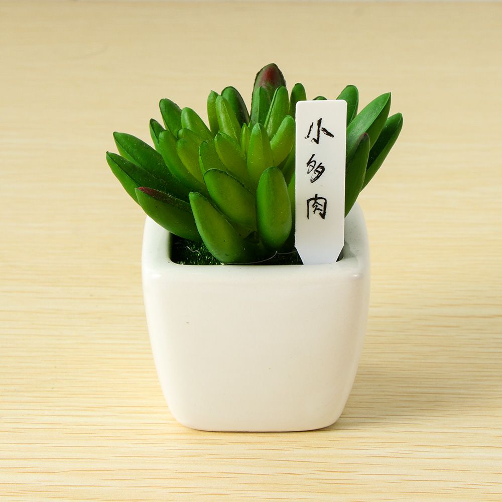 미니 플라스틱 식물 씨앗 라벨 냄비 마커, 보육 정원  - Gardening Tools Labeled 리뷰 및 가격