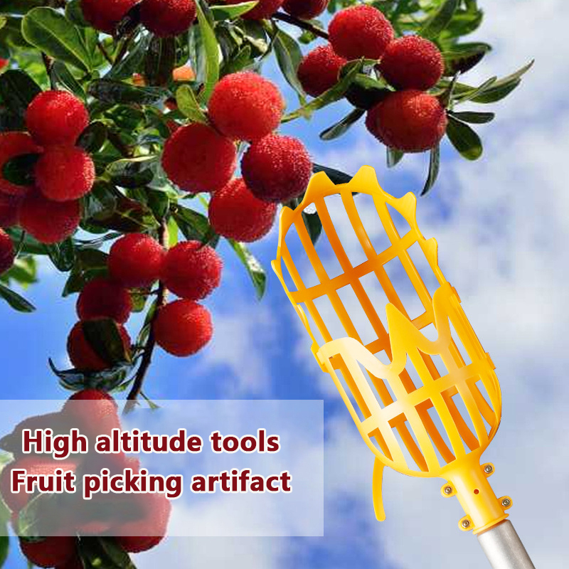 로쿼트 따기 베이베리 도구, 정원 바구니 과일 따기 헤 - Gardening Tools Rack 리뷰 및 가격