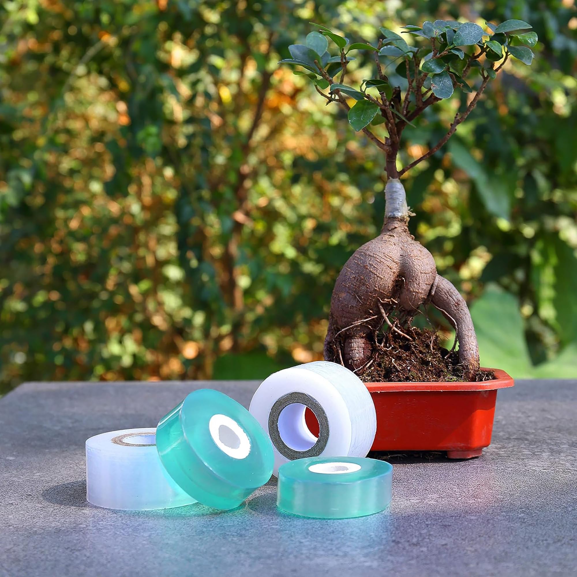 쉽게 사용할 수 있는 생분해성 자가 접착식 접목 테이프 - Gardening Tools And Uses 리뷰 및 가격