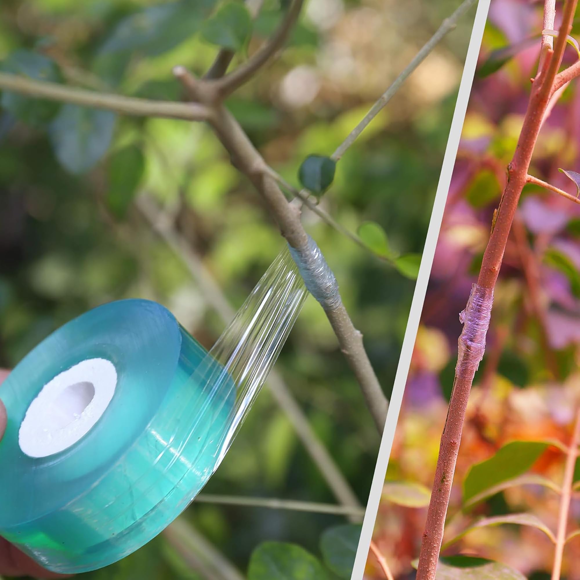 쉽게 사용할 수 있는 생분해성 자가 접착식 접목 테이프 - Gardening Tools And Uses 리뷰 및 가격