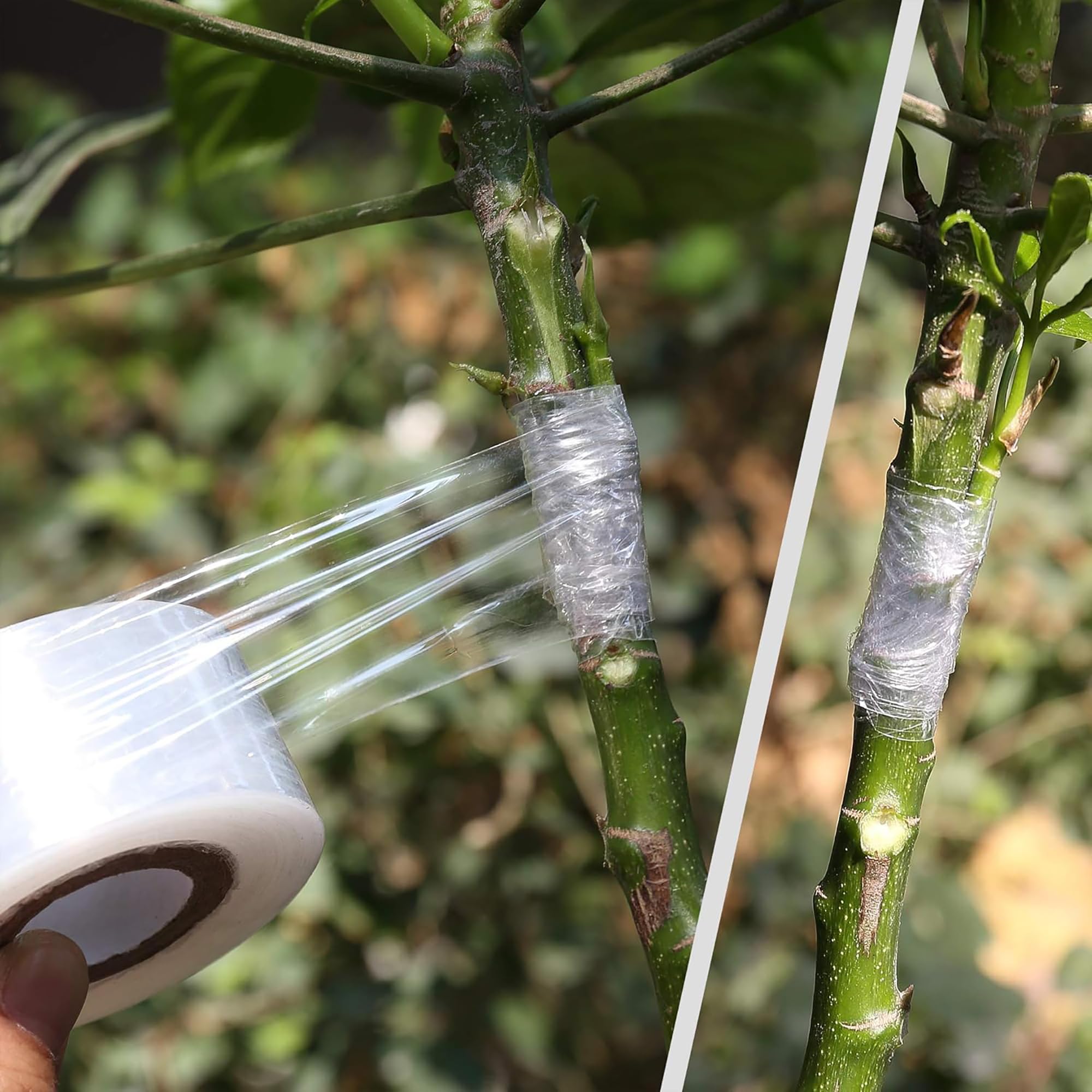 쉽게 사용할 수 있는 생분해성 자가 접착식 접목 테이프 - Gardening Tools And Uses 리뷰 및 가격