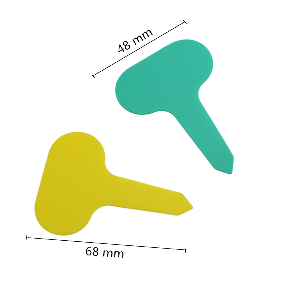 100pcs 정원 식물 레이블 PVC 식물 태그 보육  - Gardening Tools Labeled 리뷰 및 가격