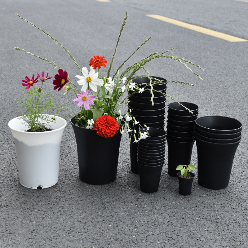 두꺼운 하이 웨이스트 라운드 화분, 재사용 가능한 다육 - Gardening Tools Green 리뷰 및 가격