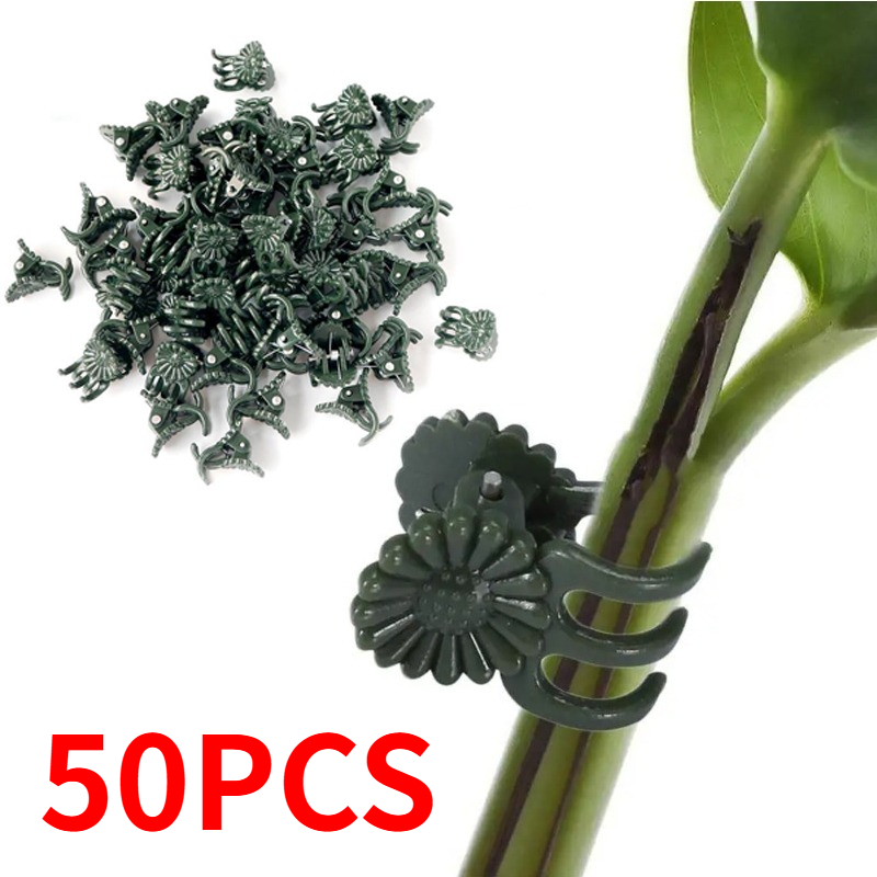 50개입 5발톱 짙은 녹색 식물 클립 난초 꽃 지지대  - Gardening Tools Green 리뷰 및 가격