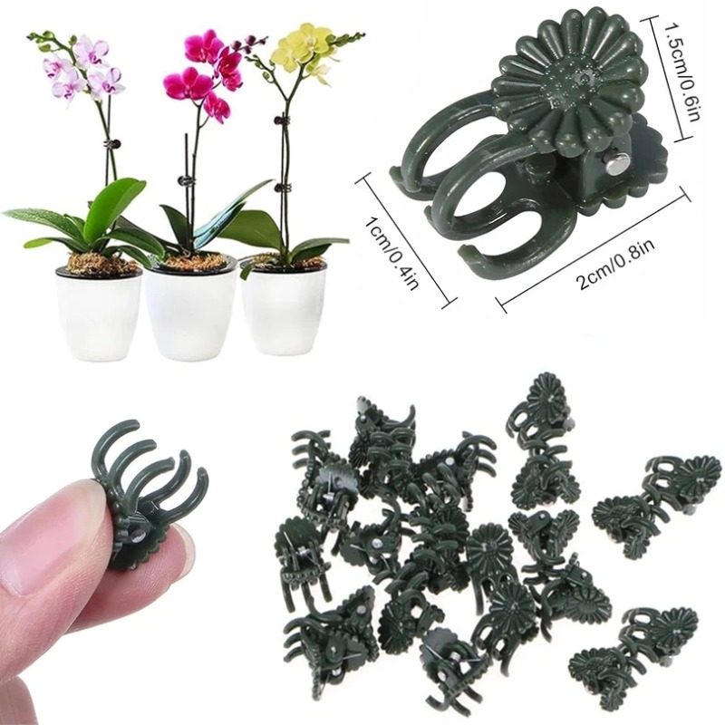 50개입 5발톱 짙은 녹색 식물 클립 난초 꽃 지지대  - Gardening Tools Green 리뷰 및 가격