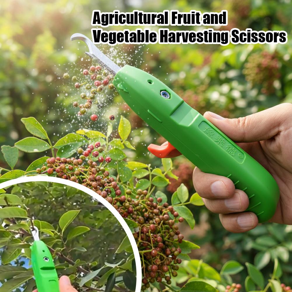 과일 및 채소 수확용 가위, 정원용 전정 가위, 곡선형 - Gardening Tools Basic 리뷰 및 가격