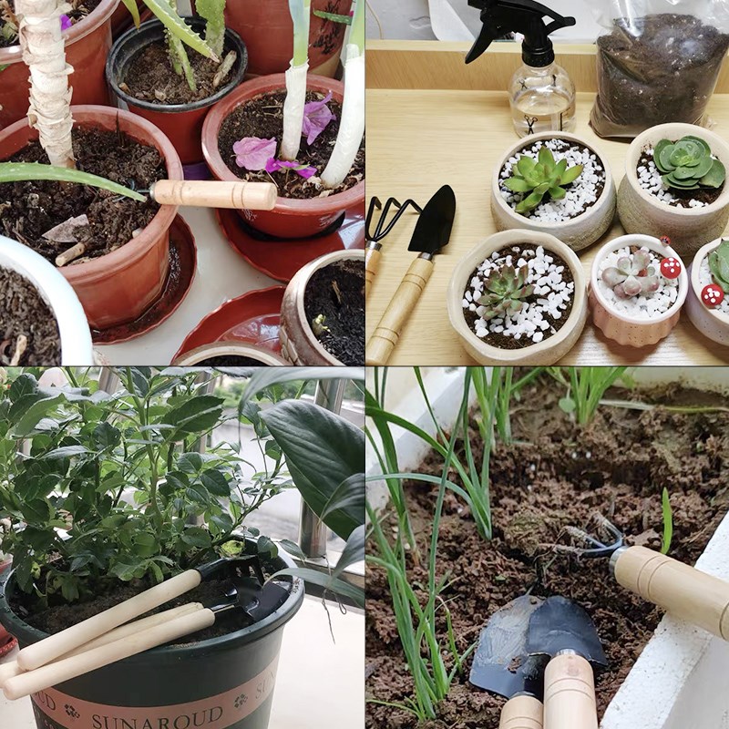 나무 손잡이가 있는 3피스 미니 원예 도구 세트, 실내 - Gardening Tools Rake 리뷰 및 가격
