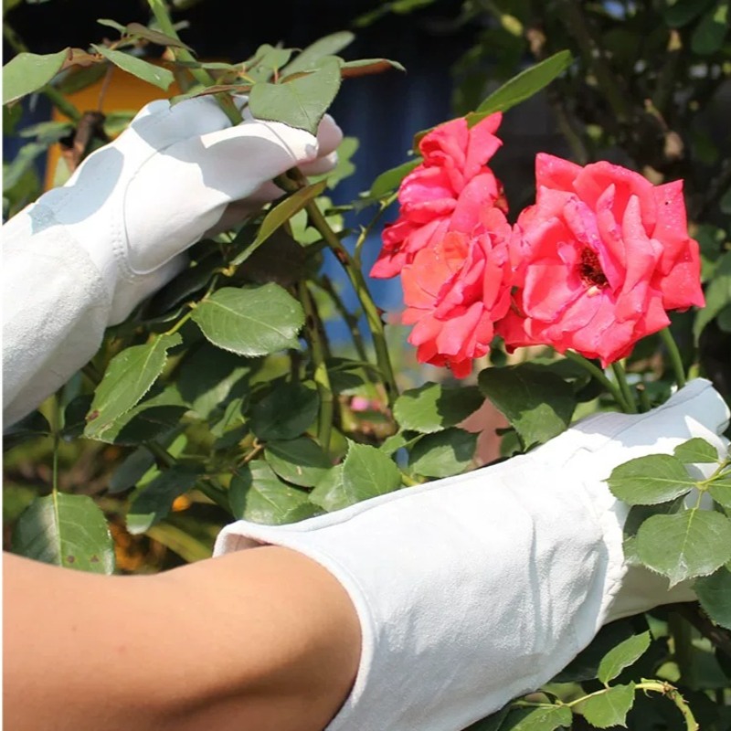 정원용 장갑 한 쌍, 가시 방지 방수 장갑, 장미 및  - Garden Gloves Thorn Proof 리뷰 및 가격