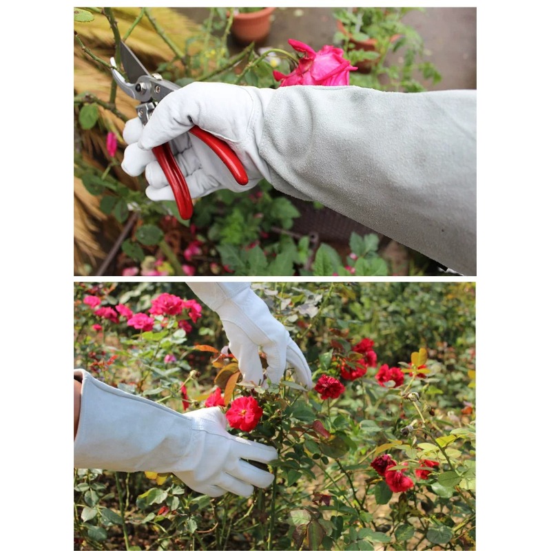 정원용 장갑 한 쌍, 가시 방지 방수 장갑, 장미 및  - Garden Gloves Thorn Proof 리뷰 및 가격
