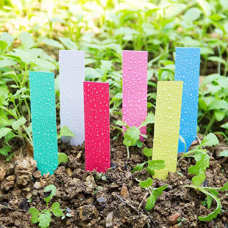 100Pcs 정원 식물 레이블 플라스틱 식물 태그 보육 - Gardening Tools Labeled 리뷰 및 가격
