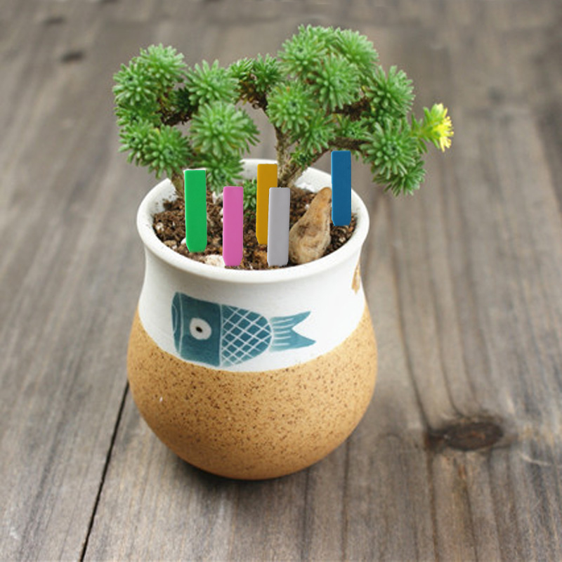 100Pcs 정원 식물 레이블 플라스틱 식물 태그 보육 - Gardening Tools Labeled 리뷰 및 가격