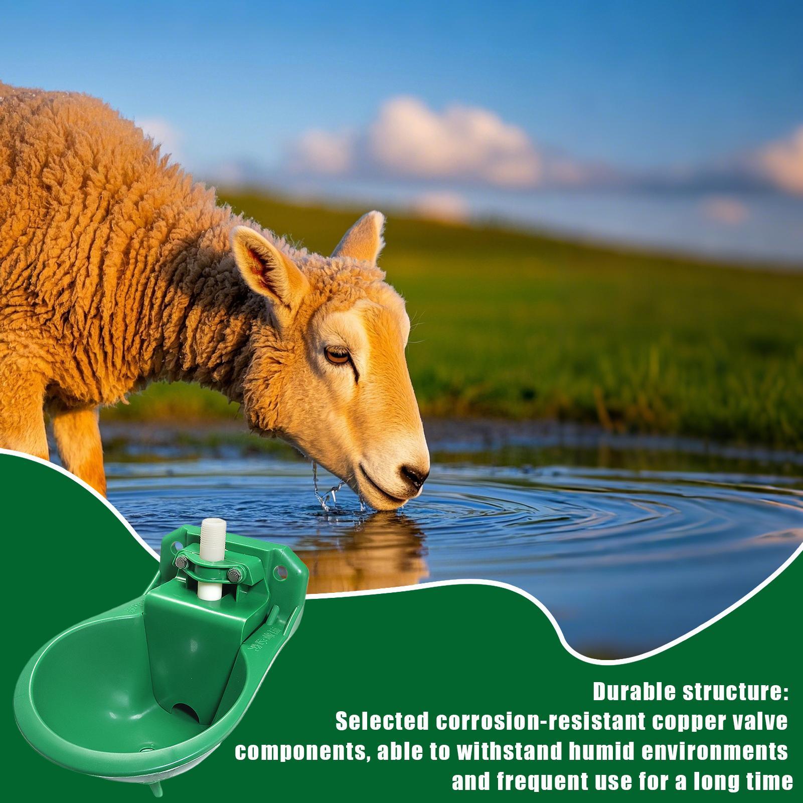 구리 밸브가 있는 말 물통 500ml 양 염소 물통 정 - Gardening Tools For Women 리뷰 및 가격