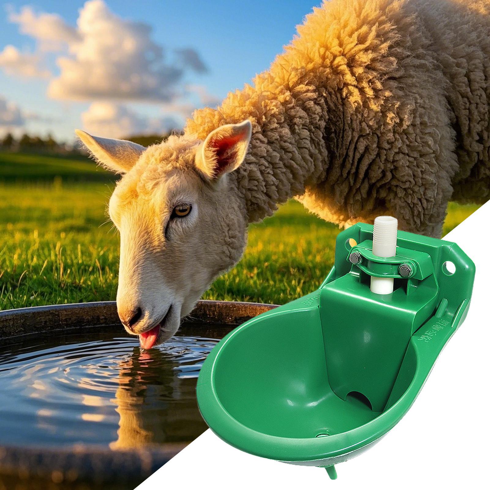 구리 밸브가 있는 말 물통 500ml 양 염소 물통 정 - Gardening Tools For Women 리뷰 및 가격