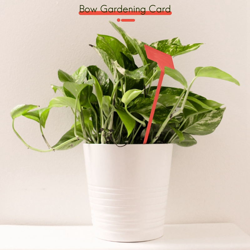ABYP 정원 심기 도구 50 Pcs 분재 플라스틱 식 - Gardening Tools Labeled 리뷰 및 가격