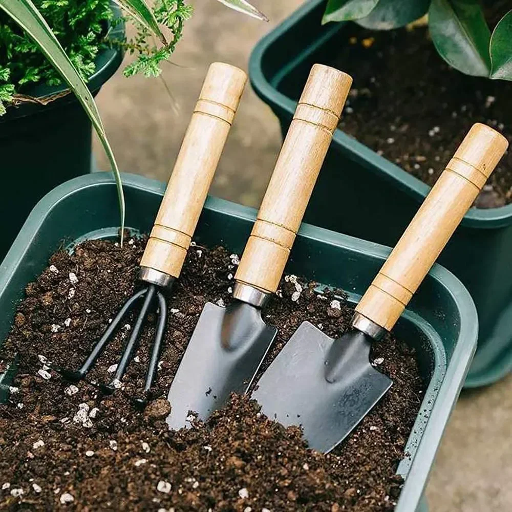 3개/세트 미니 정원 도구 세트 소형 실내 식물 관리용 - Gardening Tools Wholesale 리뷰 및 가격