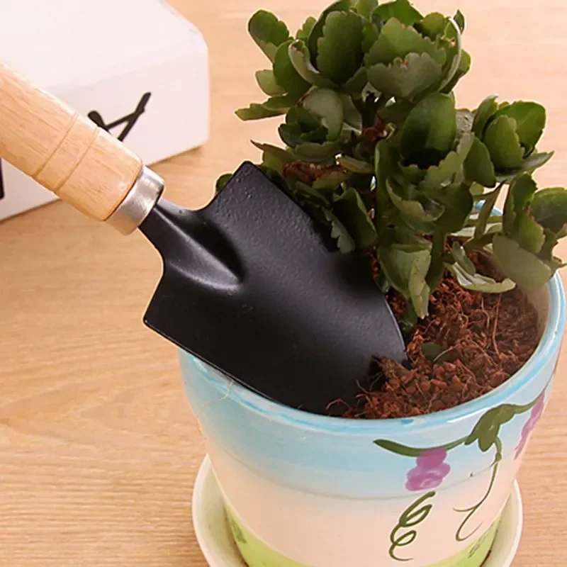 3개/세트 미니 정원 도구 세트 소형 실내 식물 관리용 - Gardening Tools Wholesale 리뷰 및 가격