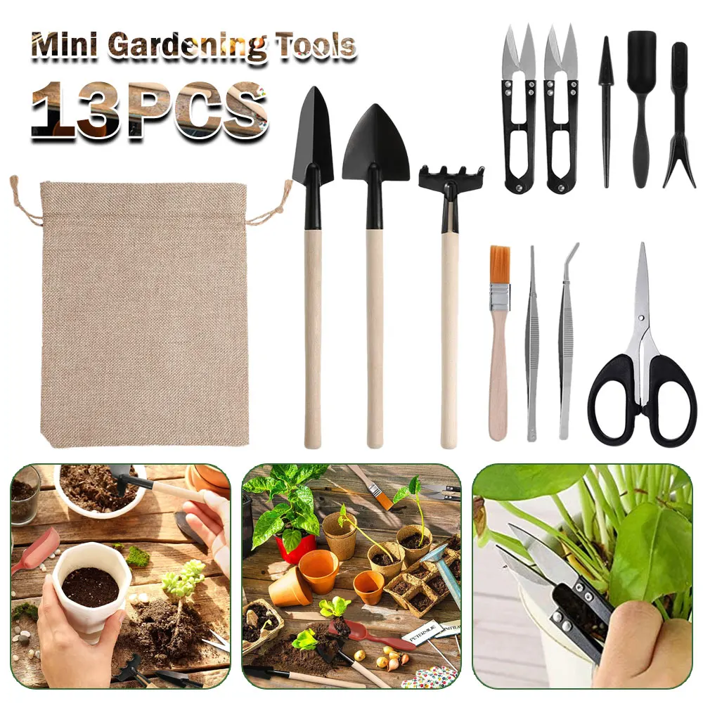 다육 식물 도구 세트, 실내 식물 가정 정원 키트, 검 - Gardening Tools Sale 리뷰 및 가격