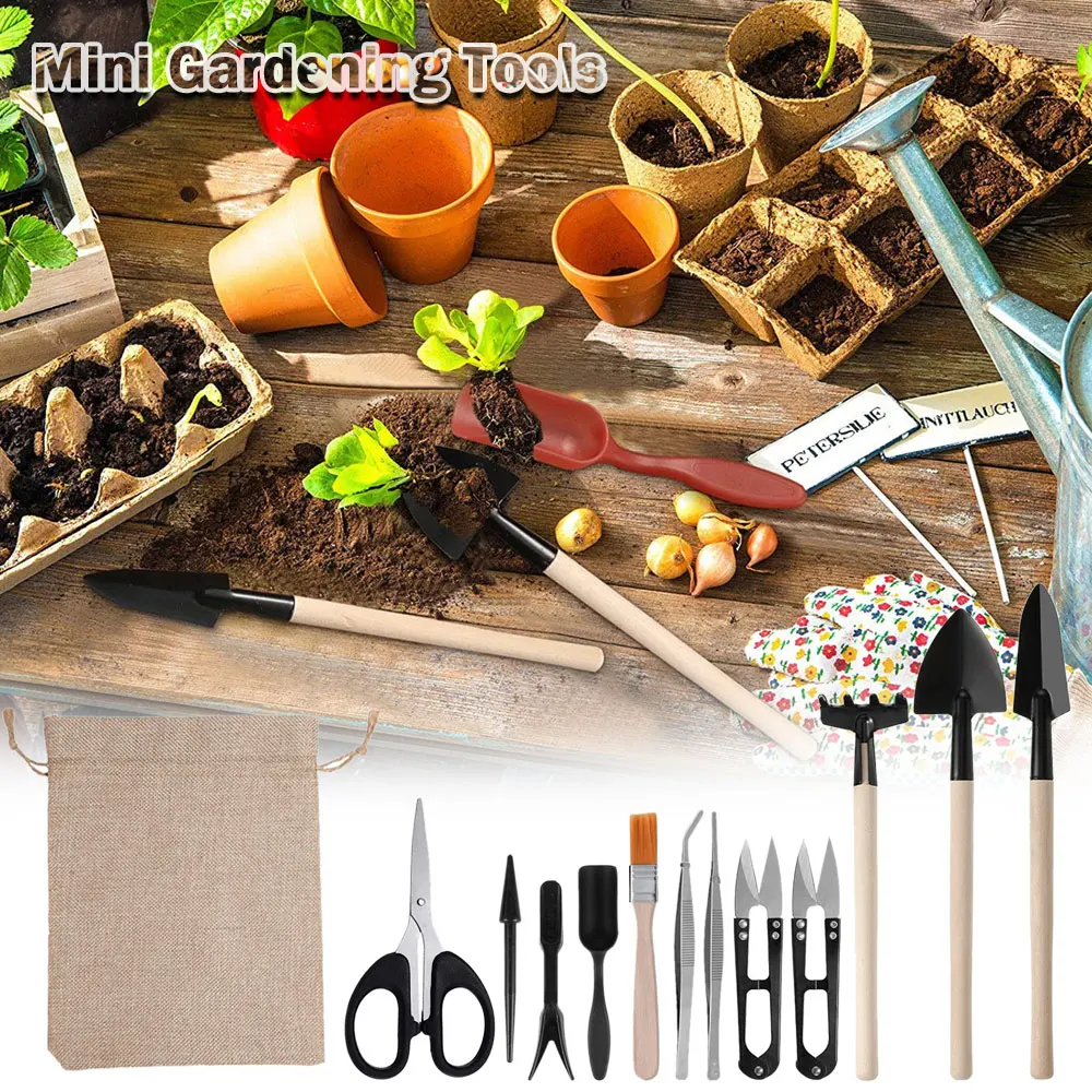 다육 식물 도구 세트, 실내 식물 가정 정원 키트, 검 - Gardening Tools Sale 리뷰 및 가격