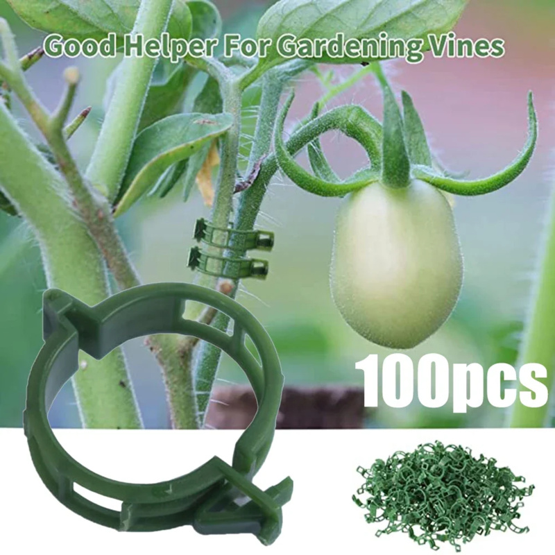 플라스틱 타이 트렐리스 스테이크 클립, 식물 지지대 클 - Gardening Tools Holder 리뷰 및 가격