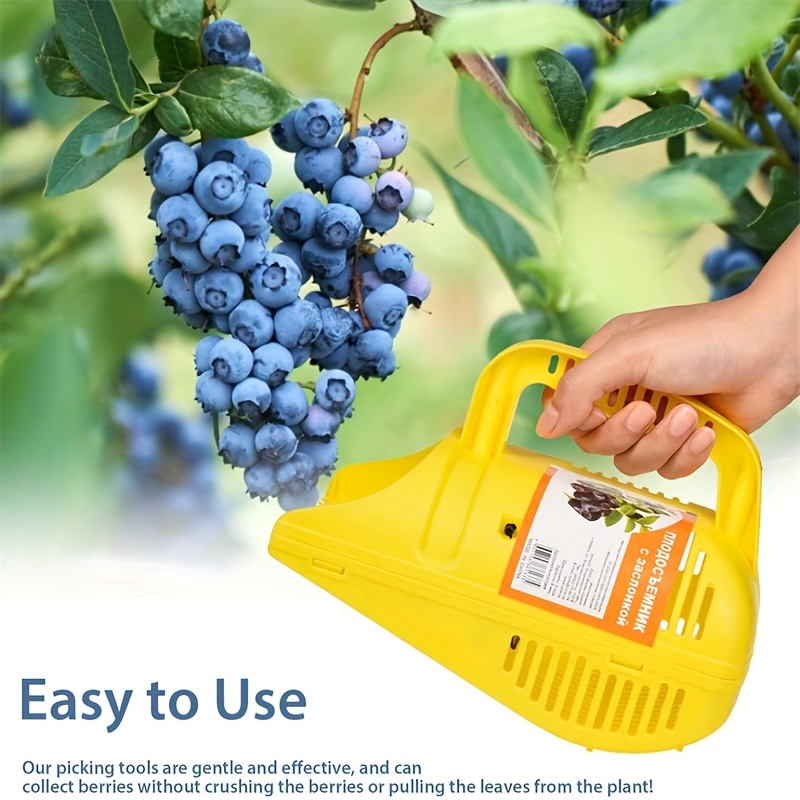 블루베리 수확기, 손쉬운 그립감의 휴대용 과일 수확 레 - Gardening Tools Rake 리뷰 및 가격