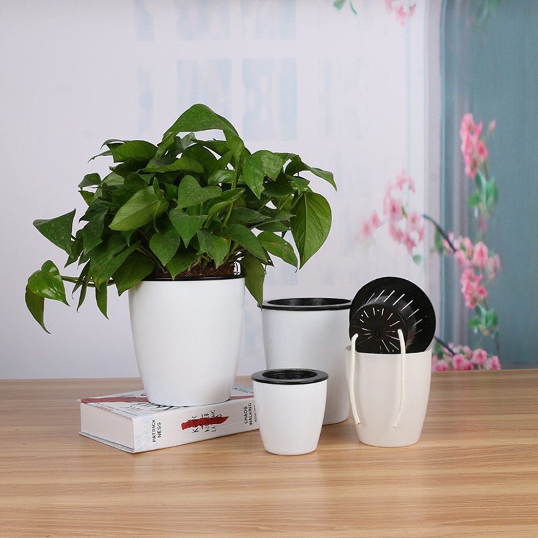 자동 급수 꽃 식물 화분, 레이지 화분, 모조 도자기, - Gardening Tools Green 리뷰 및 가격