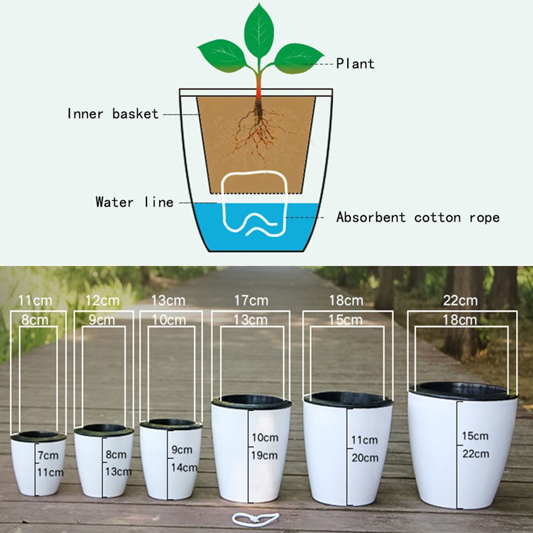 자동 급수 꽃 식물 화분, 레이지 화분, 모조 도자기, - Gardening Tools Green 리뷰 및 가격