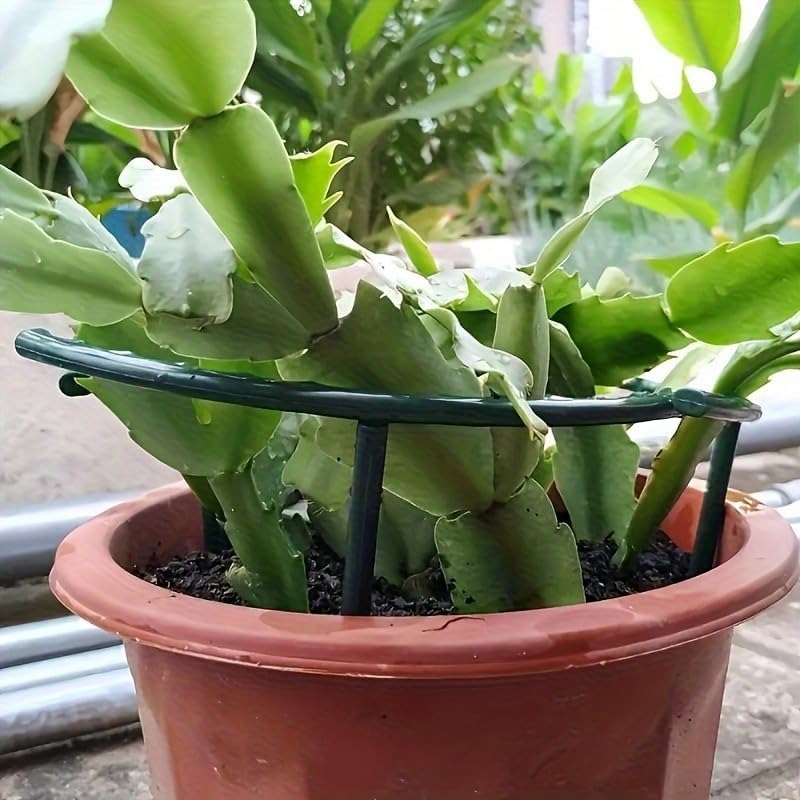 30-1개 플라스틱 식물 지지대 반원형 말뚝 프레임 고 - Gardening Tools Holder 리뷰 및 가격