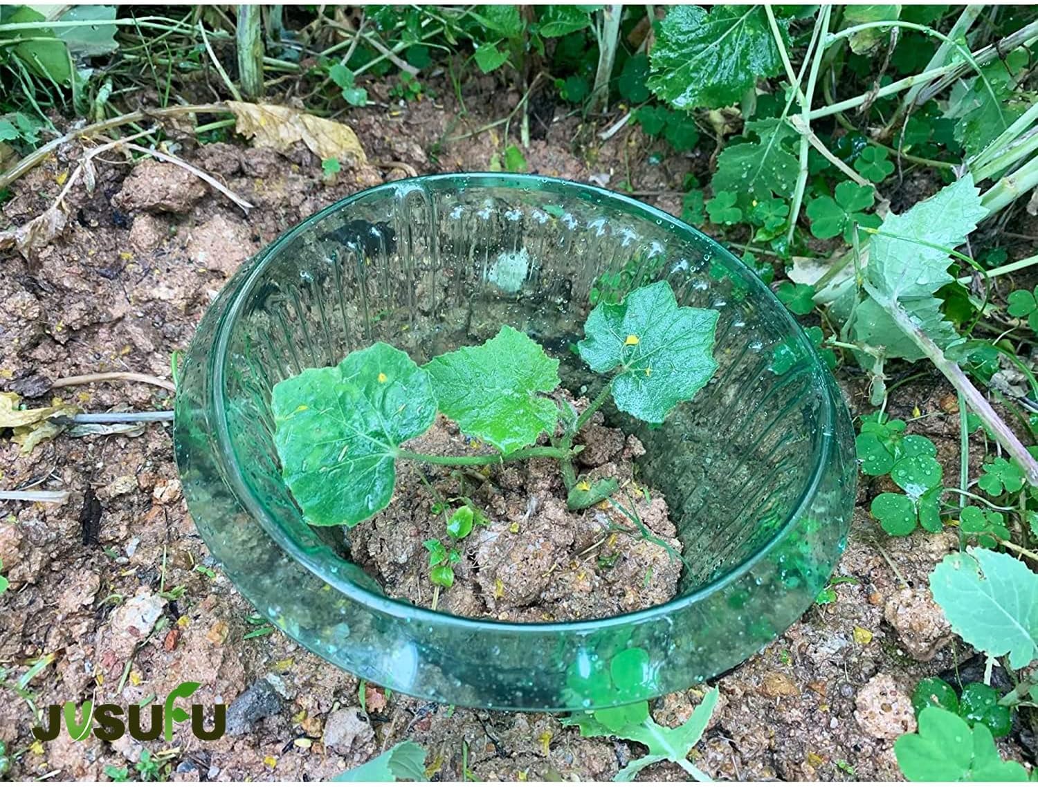 1/30개 식물 달팽이 방지 링 녹색 화분 꽃병 달팽이 - Gardening Tools Green 리뷰 및 가격