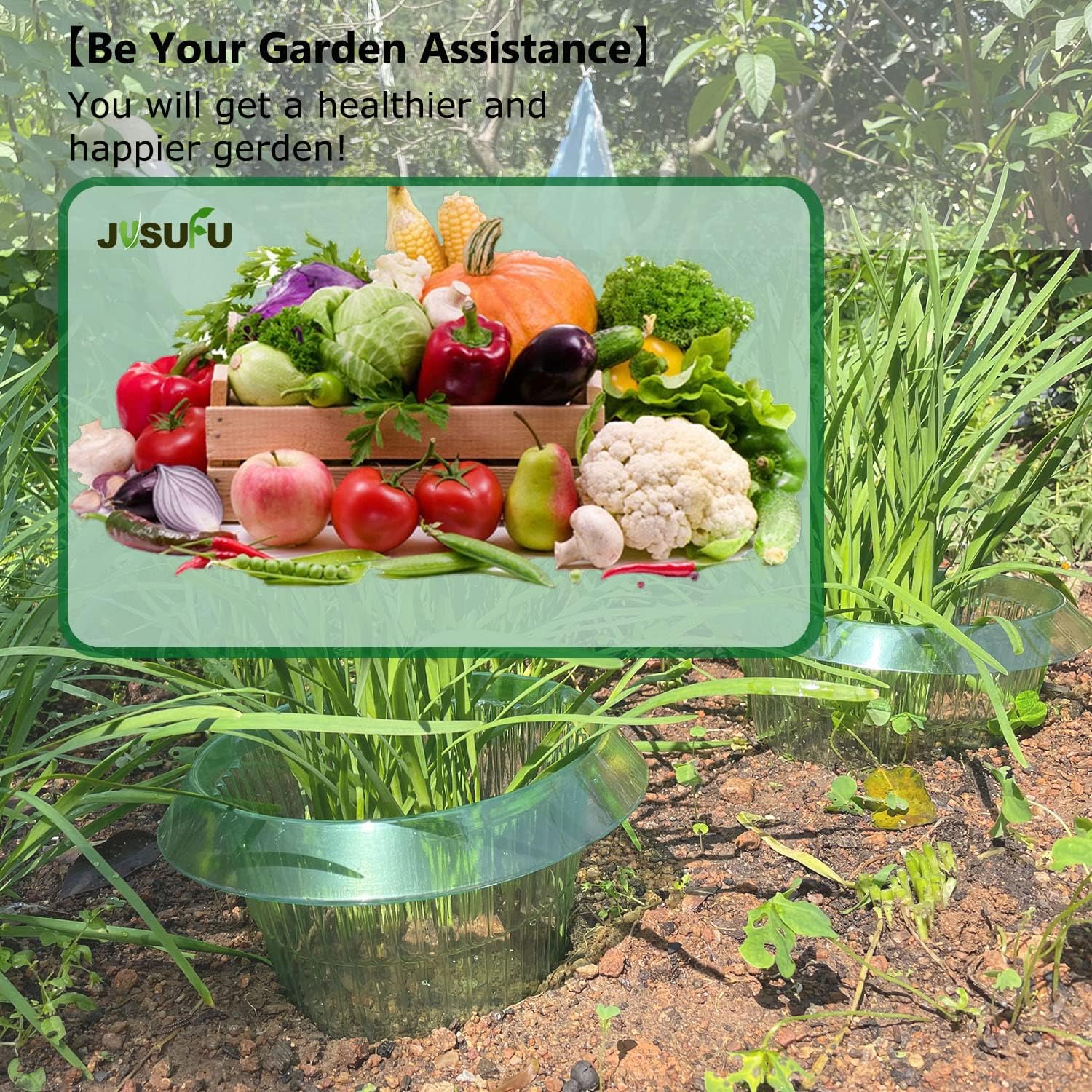 1/30개 식물 달팽이 방지 링 녹색 화분 꽃병 달팽이 - Gardening Tools Green 리뷰 및 가격