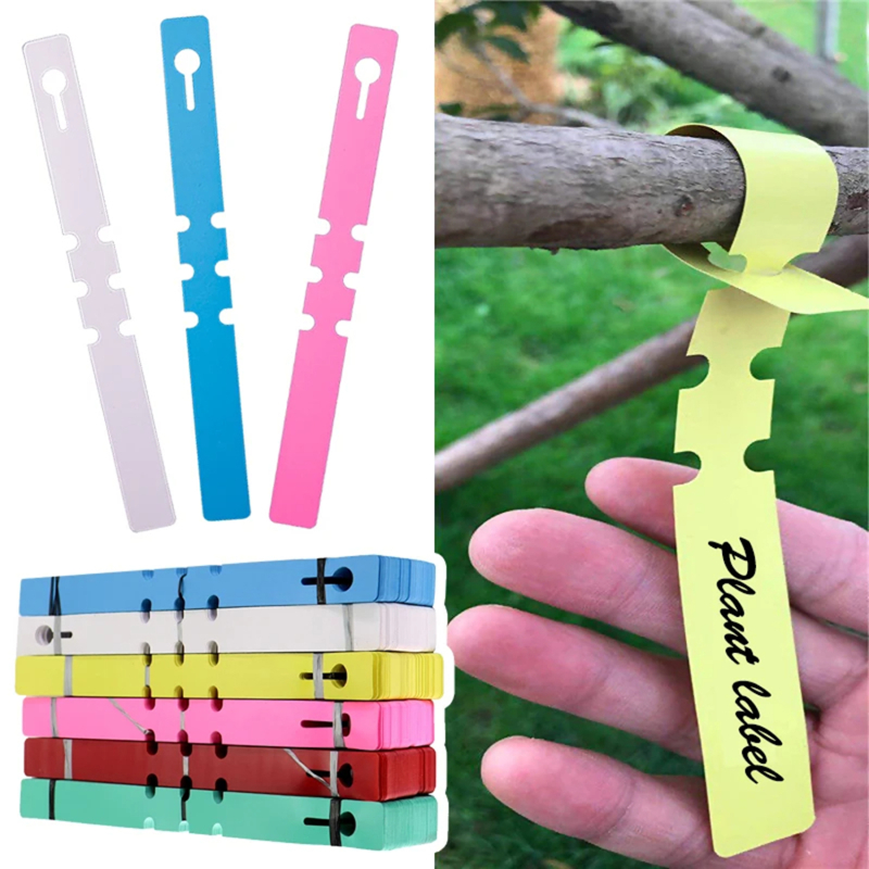 100-200개 방수 식물 마커 플라스틱 식물 걸이 태 - Gardening Tools Labeled 리뷰 및 가격
