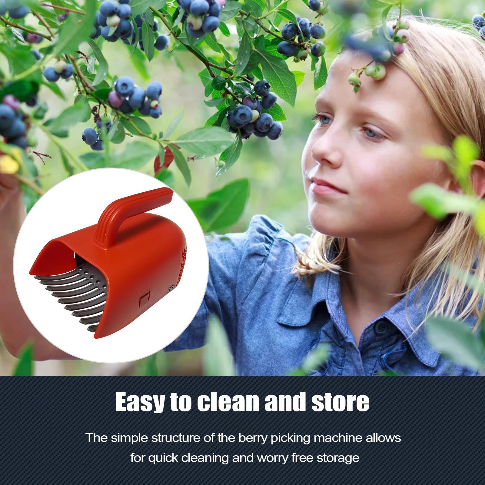 베리 수확용 스쿱 인체공학적 손잡이 블루베리 따는 도구 - Gardening Tools Rake 리뷰 및 가격