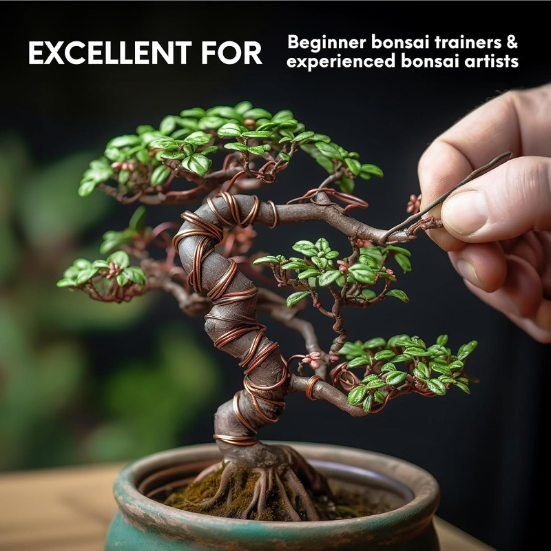 5M 분재 훈련용 와이어 세트, 정원 식물 지지용 알루 - Bonsai Tool Set 리뷰 및 가격
