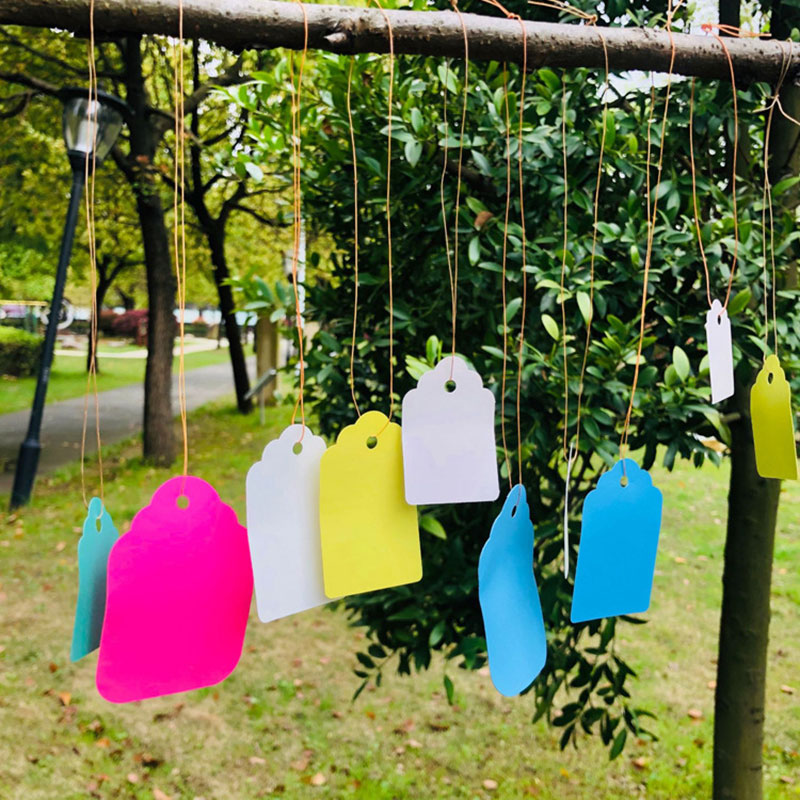 밧줄로 100pcs 식물 레이블 PVC 식물 매달려 태 - Gardening Tools Labeled 리뷰 및 가격