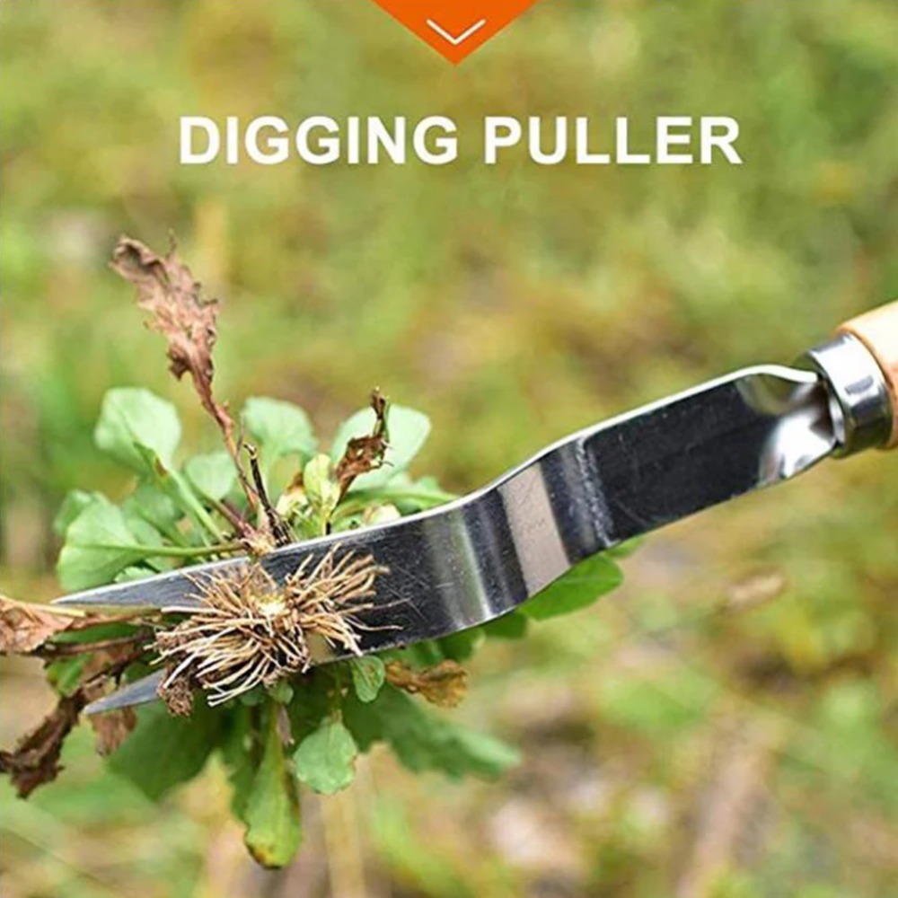 목재 손잡이 스테인레스 스틸 정원 잡초 제거 커터 풀러 - Gardening Tools Sale 리뷰 및 가격