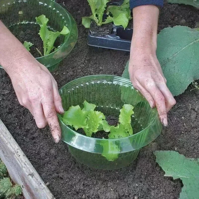 식물 달팽이 보호 링 야채 커버 식물 달팽이 칼라 가드 - Gardening Tools Green 리뷰 및 가격