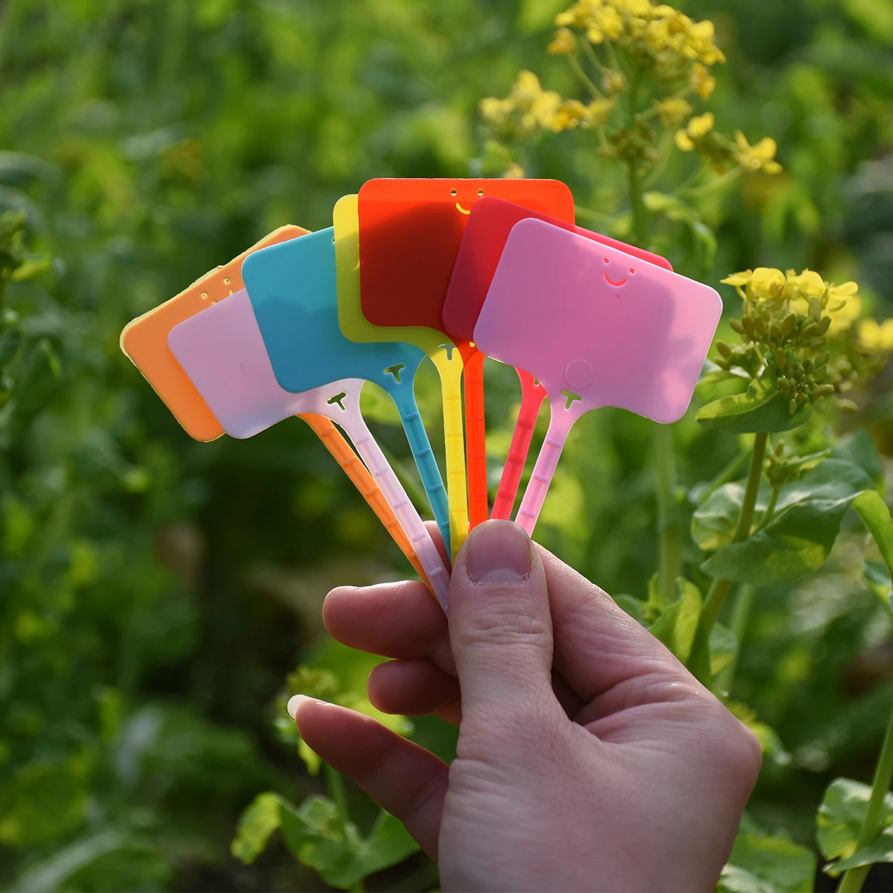 50 개입 방수 정원 식물 라벨 플라스틱 태그 묘목장  - Gardening Tools Labeled 리뷰 및 가격