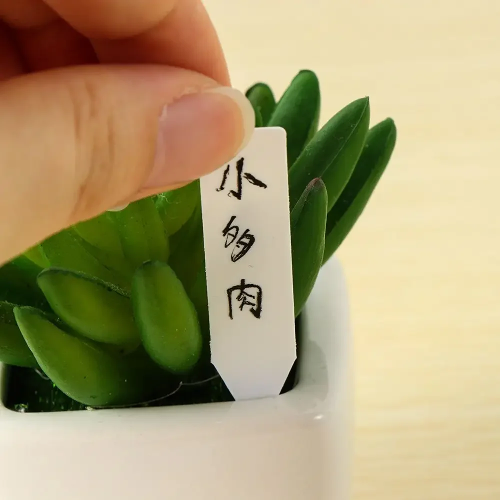 100Pcs 재사용 가능한 분류 마커 방수 씨앗 식물  - Gardening Tools Labeled 리뷰 및 가격