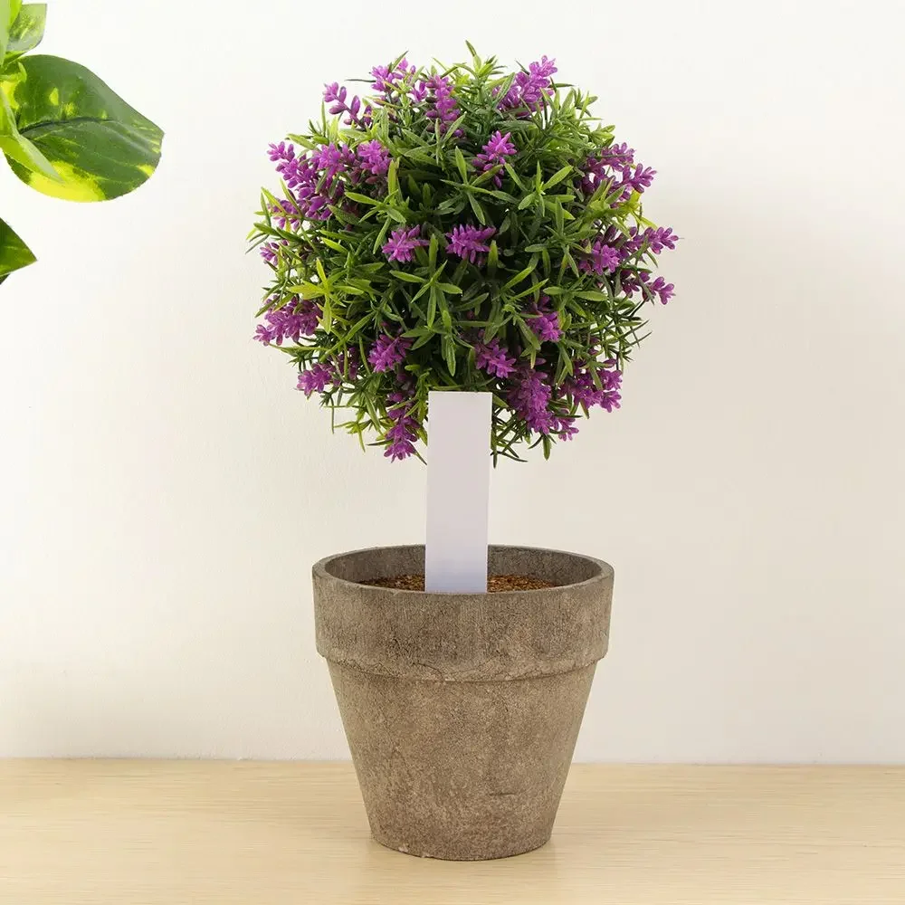 100Pcs 재사용 가능한 분류 마커 방수 씨앗 식물  - Gardening Tools Labeled 리뷰 및 가격