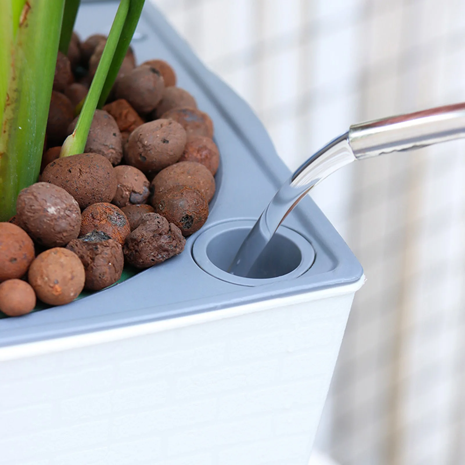 셀프 급수 화분 수제 셀프 급수 식물 꽃 냄비 물 컨테 - Gardening Tools Green 리뷰 및 가격