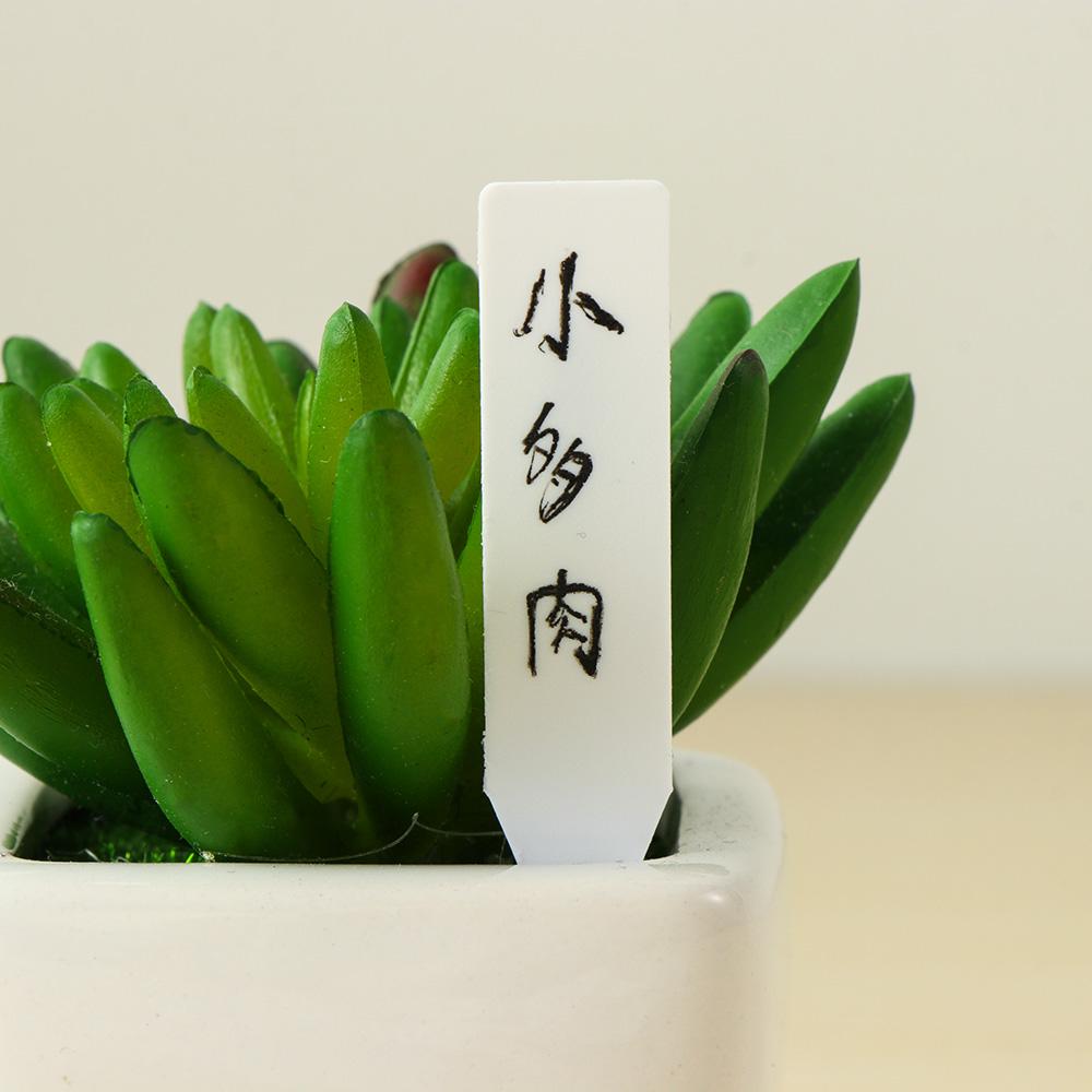 100Pcs 재사용 가능한 씨앗 방수 분류 마커 묘목  - Gardening Tools Labeled 리뷰 및 가격