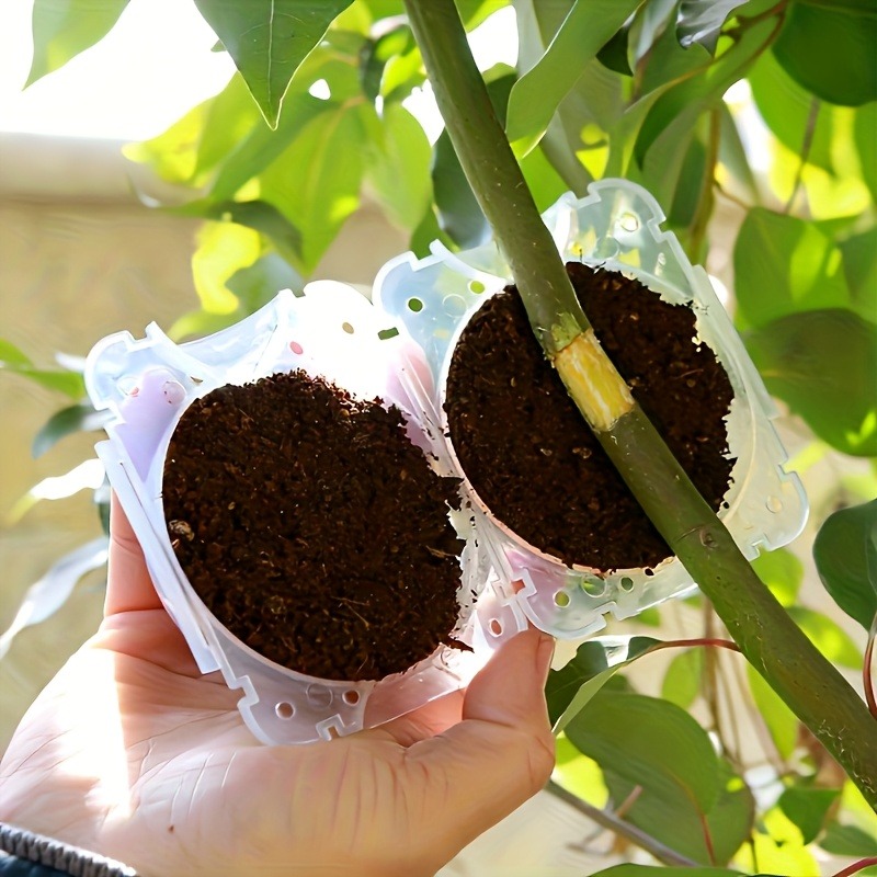10개입 고압 식물 뿌리화 번식 상자 키트, 정원용 압 - Gardening Tools And Uses 리뷰 및 가격