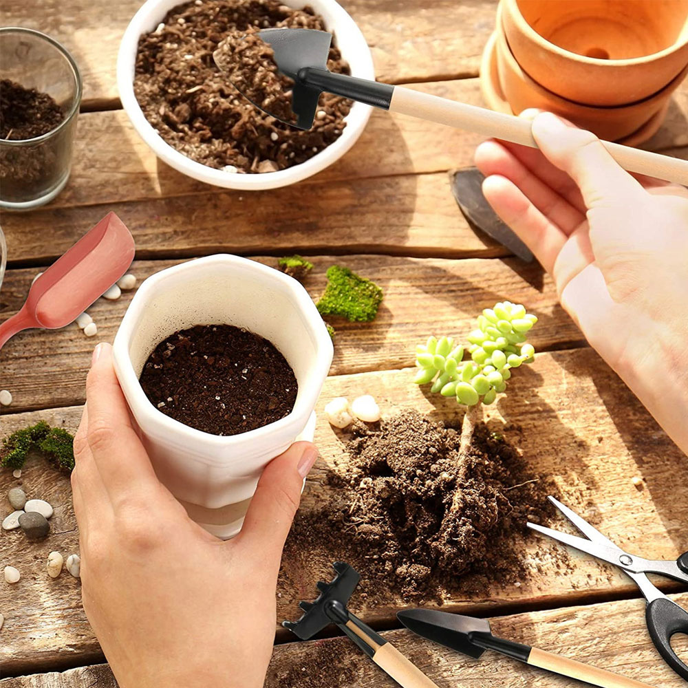 즙이 많은 식물 도구 미니 정원 손 도구 이식 야외 분 - Bonsai Tool Set 리뷰 및 가격